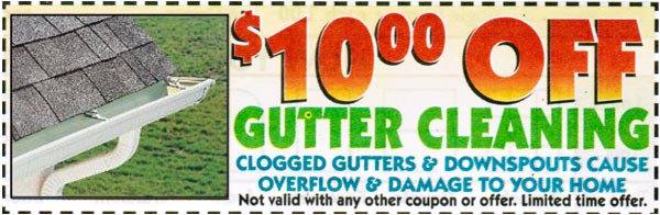 10 dollars off gutter cleaning