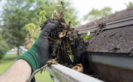 gutter cleaning